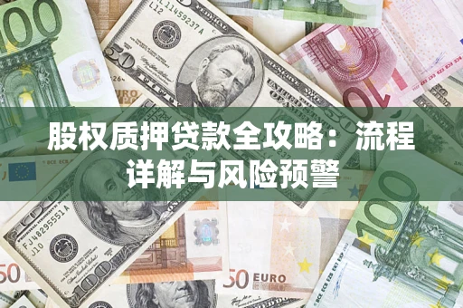 武汉股权质押贷款全攻略：流程详解与风险预警