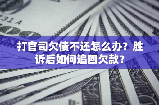 武汉打官司欠债不还怎么办？胜诉后如何追回欠款？