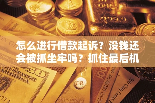 武汉怎么进行借款起诉？没钱还会被抓坐牢吗？抓住最后机会！