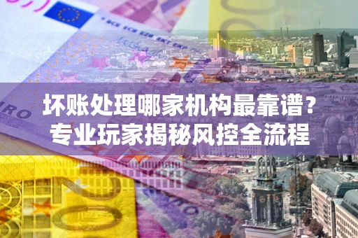 武汉坏账处理哪家机构最靠谱？专业玩家揭秘风控全流程
