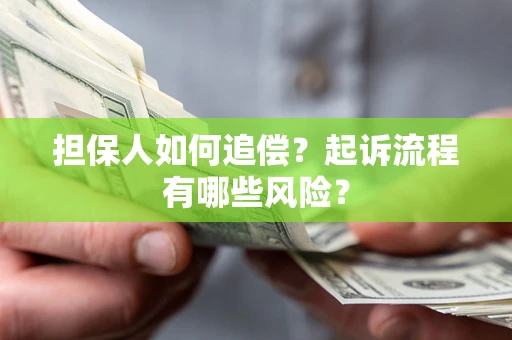 武汉担保人如何追偿？起诉流程有哪些风险？
