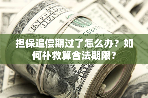 武汉担保追偿期过了怎么办？如何补救算合法期限？