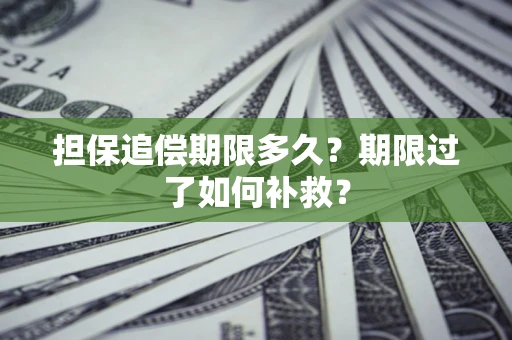 武汉担保追偿期限多久？期限过了如何补救？