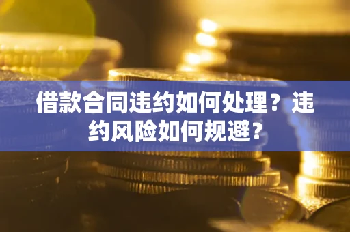 武汉借款合同违约如何处理？违约风险如何规避？