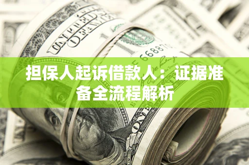 武汉担保人起诉借款人：证据准备全流程解析
