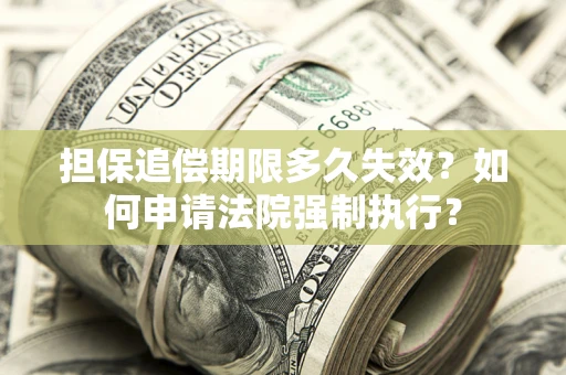 武汉担保追偿期限多久失效？如何申请法院强制执行？