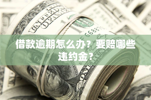 武汉借款逾期怎么办？要赔哪些违约金？