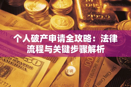 武汉个人破产申请全攻略：法律流程与关键步骤解析