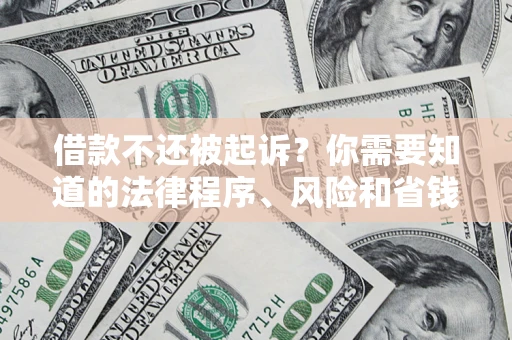武汉借款不还被起诉？你需要知道的法律程序、风险和省钱技巧